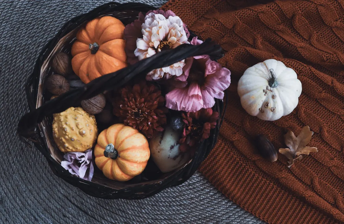 A Mercia Autumn Harvest Guide: Apples, Pears and Pumpkins