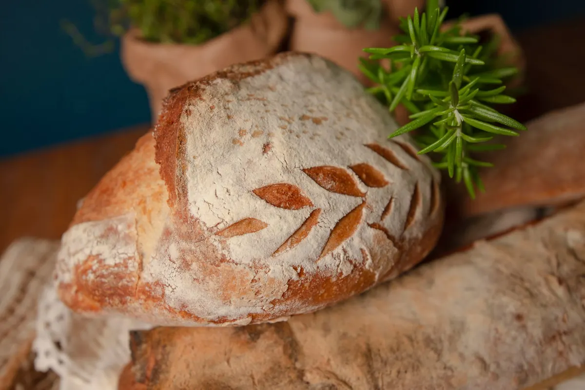 Sourdough Starter Troubleshooting: Why Your Starter Isn't Rising
